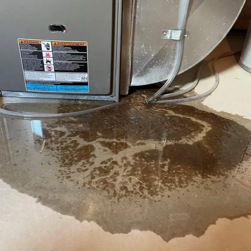 Appliance Leak Cleanup in Laflin, PA